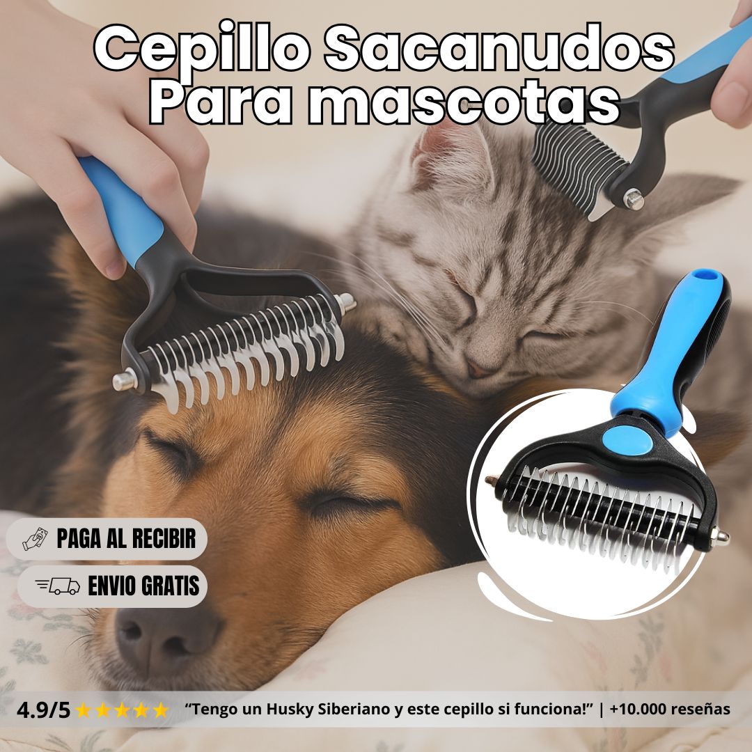PetMassage© - Peina a tu perro con Amor y Suavidad