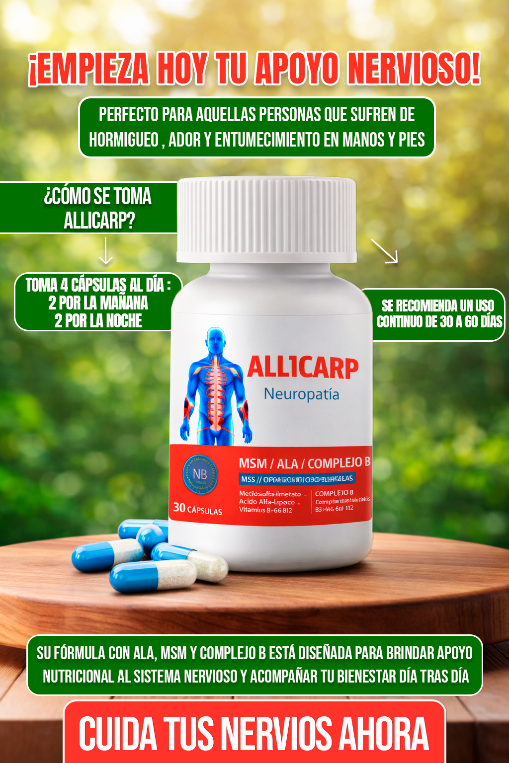 SOLO POR HOY 2X1 | ALLICARP -  Suplemento y Apoyo a la salud de los nervios