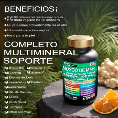 PurfectFuel™ VITAMINAS- EL 2DO CON UN 50% DE DESCUENTO🔥